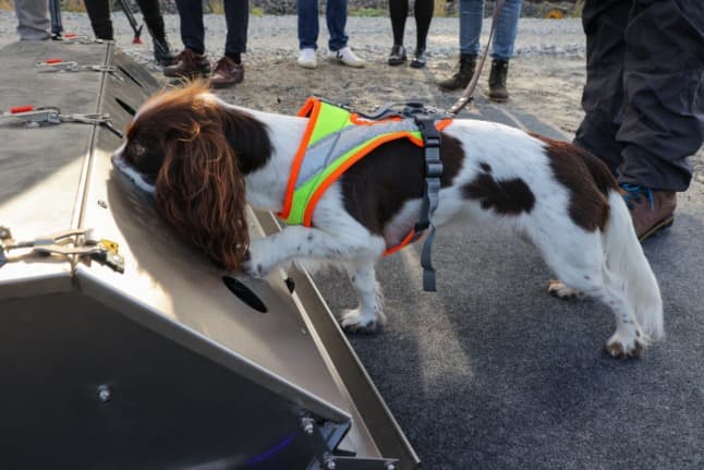 Dogs help German rail operator sniff out protected species