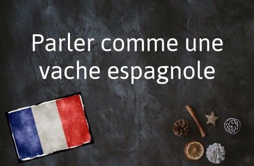 French phrase of the day: Parler comme une vache espagnole