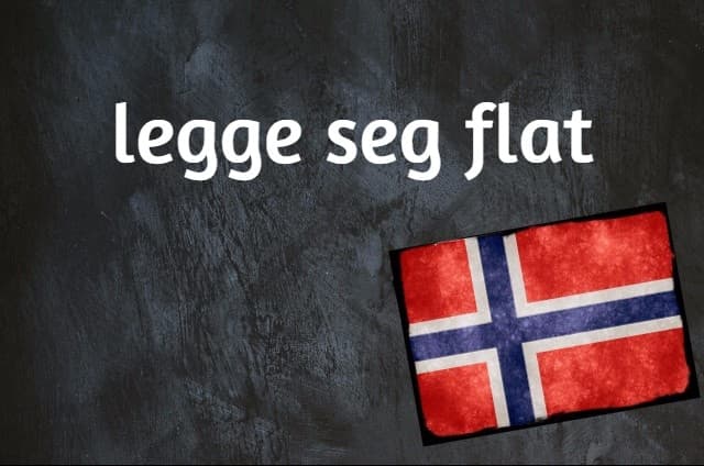 Norwegian expression of the day: Legge seg flat