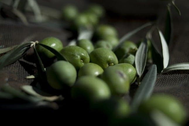 WTO rules US tariffs on Spanish olives breach rules