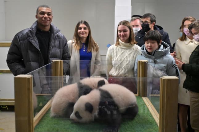 French zoo's baby pandas get football star godfather: Kylian Mbappé