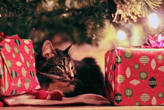 Posting Christmas presents from Austria? Here's what you need to know