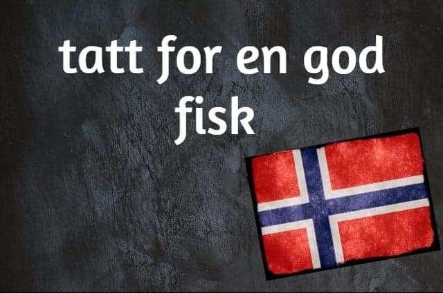 Norwegian word of the day: Tatt for god fisk