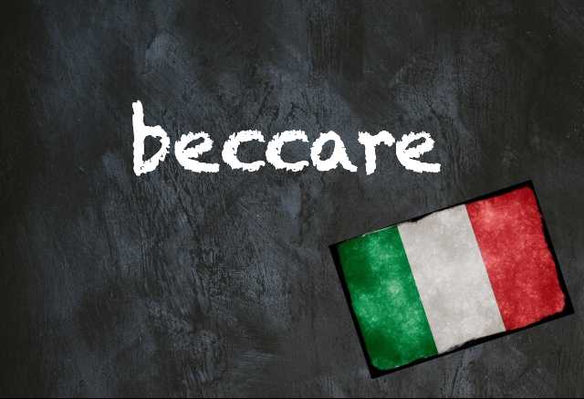 Italian word of the day: 'Beccare'