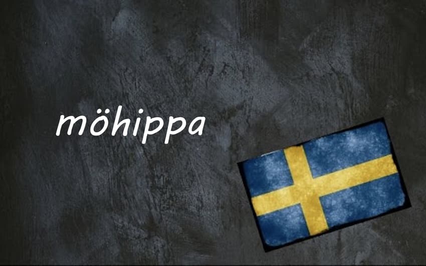 Swedish word of the day: möhippa