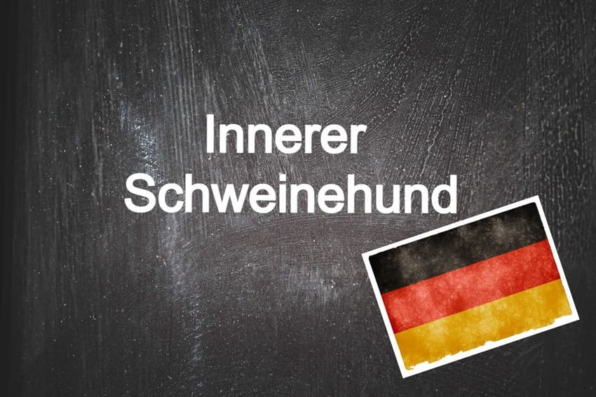 German phrase of the day: Innerer Schweinehund