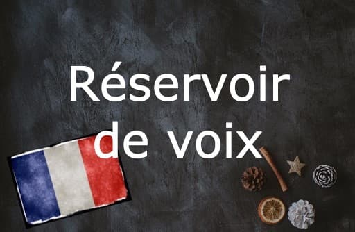 French Expression of the Day: Réservoir de voix