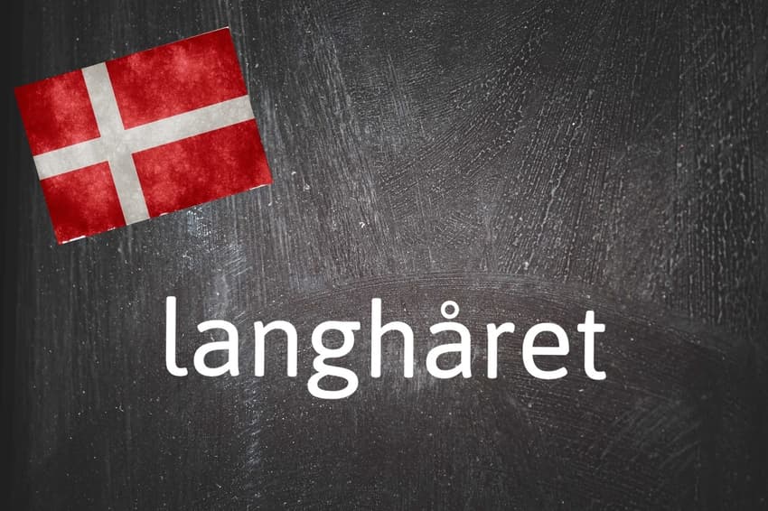 Danish word of the day: Langhåret