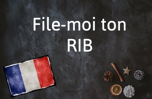 French Expression of the Day: File-moi ton RIB