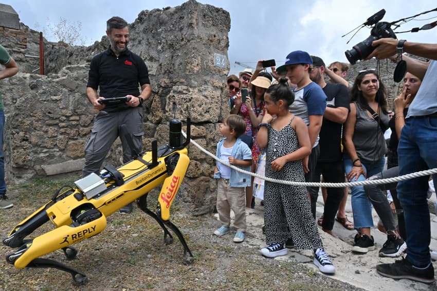 IN PICTURES: Pompeii tests new robotic dog named 'Spot'