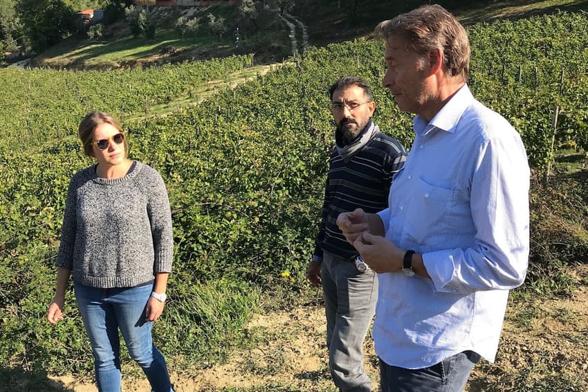 ‘Why I ditched my UK corporate career for an abandoned Italian vineyard’