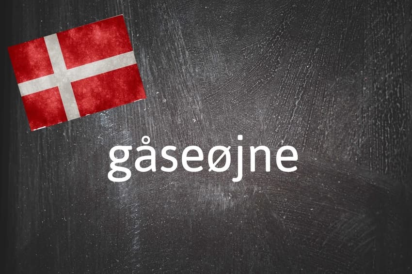 Danish word of the day: Gåseøjne