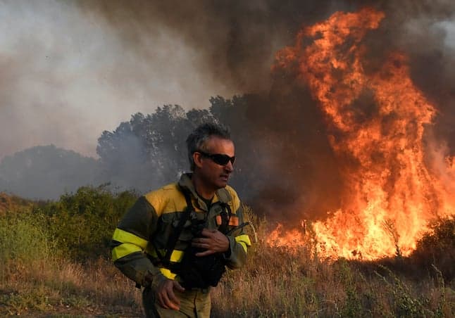 Why are there so many forest fires in Spain?