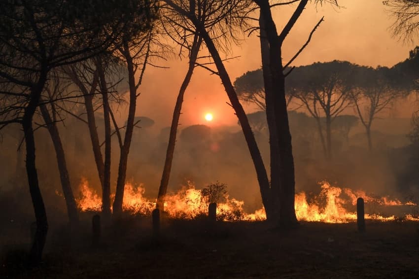 'Be vigilant': The parts of France braced for forest fires this summer