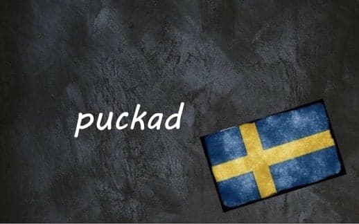 Swedish word of the day: puckad