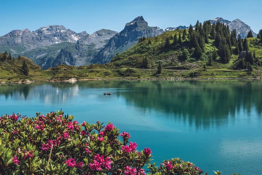 Eleven pros and cons of living in Switzerland