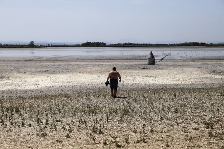 IN PICTURES: How drought and extreme heat are affecting Austria