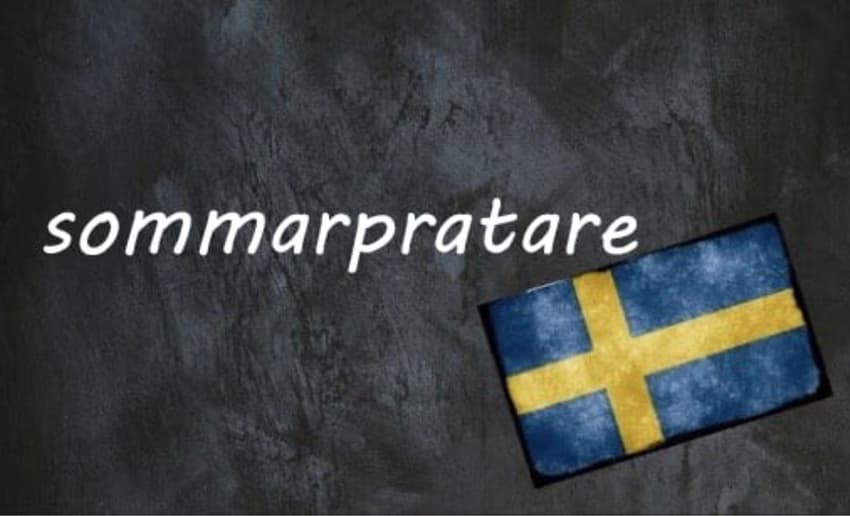 ​​Swedish word of the day: sommarpratare