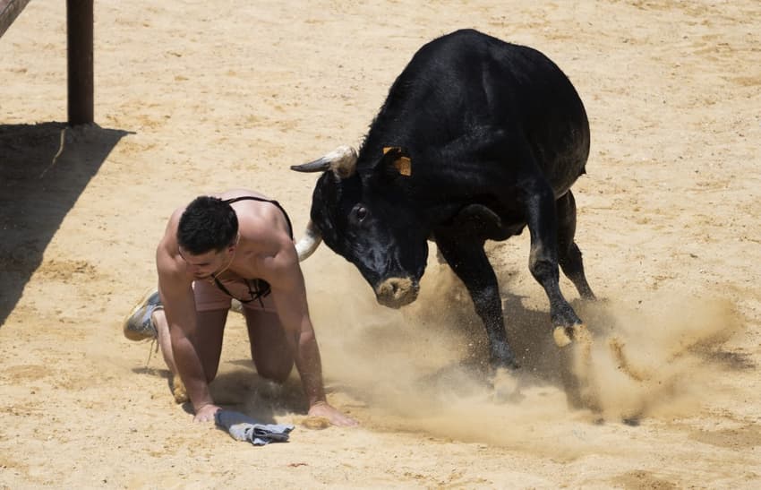 Debate flares over Spain's bull-running fiestas as ten revellers die