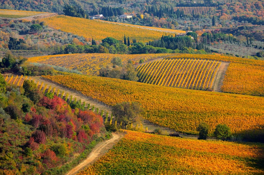 Nine of the best events in Italy this autumn