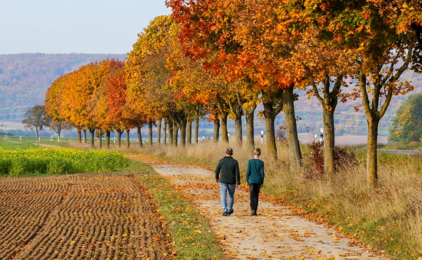 Living in Germany: Falling in love with learning German, autumn colours and back to the DDR