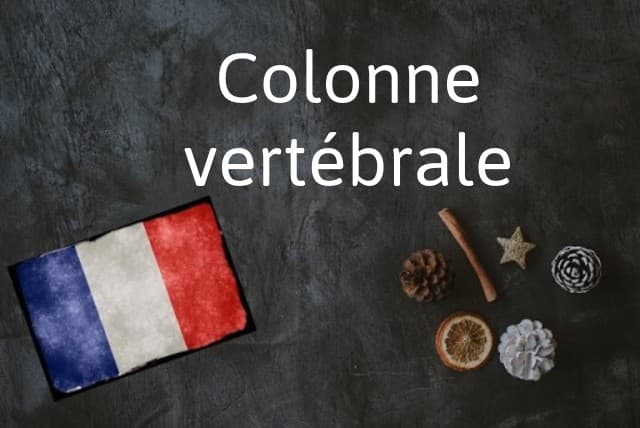 French word of the day: Colonne vertébrale