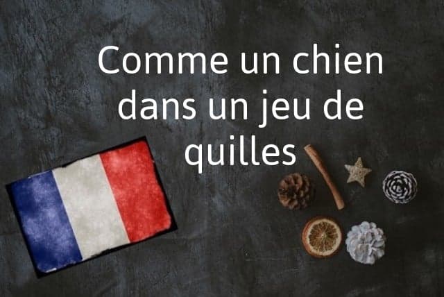 French phrase of the day: Comme un chien dans un jeu de quilles