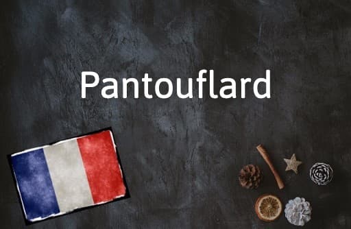 French Word of the Day: Pantouflard