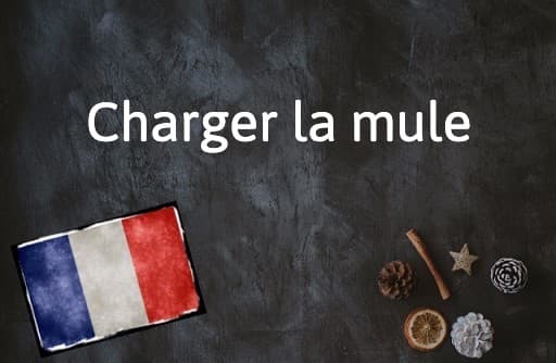 French Expression of the Day: Charger la mule