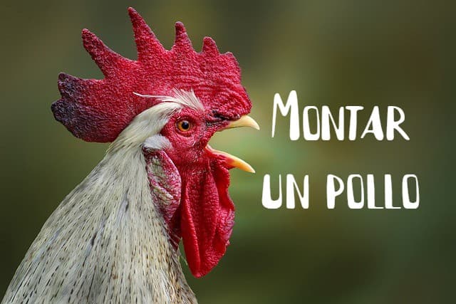 Spanish Expression of the Day: 'Montar un pollo'