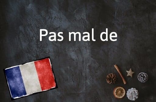 French Expression of the Day: Pas mal de