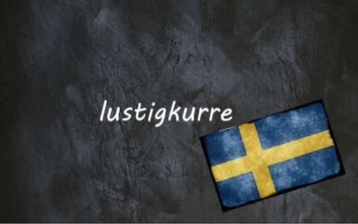 Swedish word of the day: lustigkurre