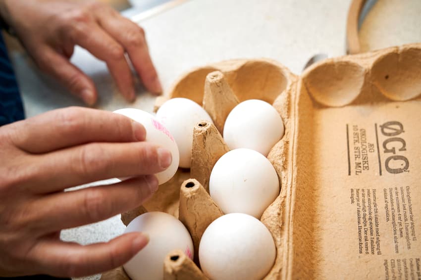 ‘Forever chemical’ PFAS found in organic eggs in Denmark