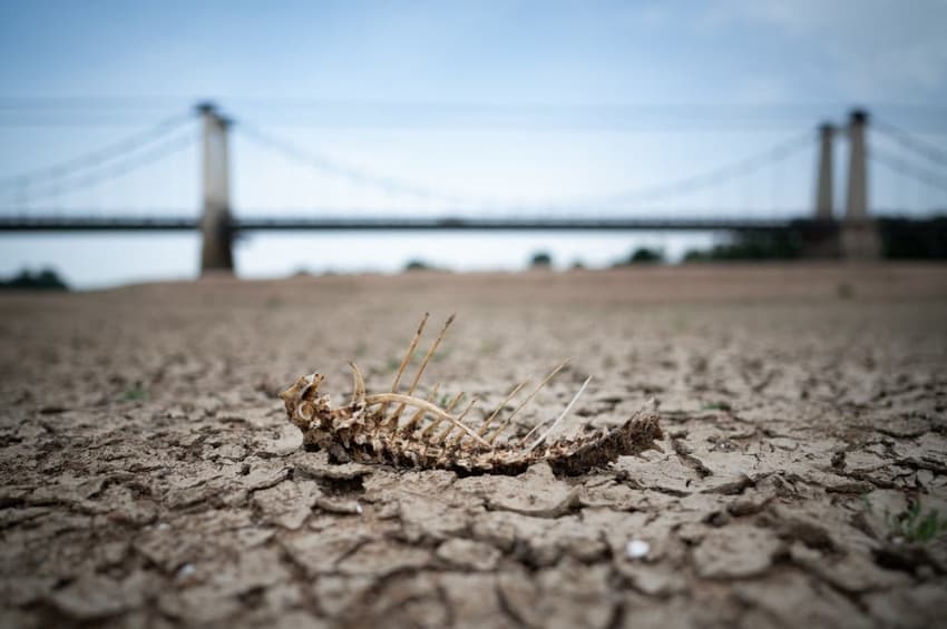 How likely are droughts and water restrictions in France in summer 2023?