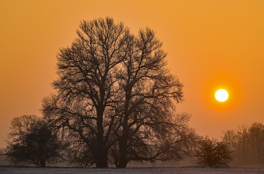 Second winter heat wave arrives in Germany