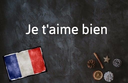 French Expression of the Day: Je t’aime bien