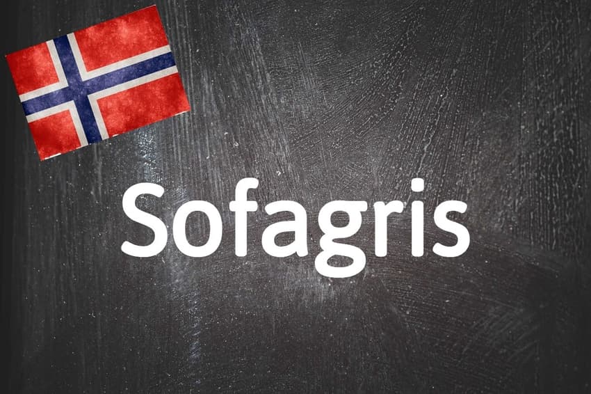 Norwegian word of the day: Sofagris 