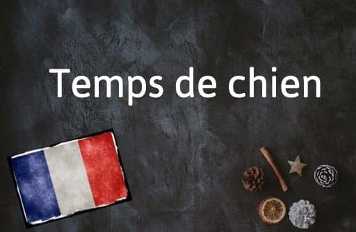French Expression of the Day: Temps de chien
