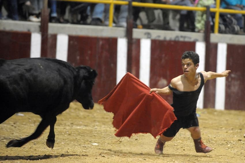 Spain bans 'dwarf bullfights'