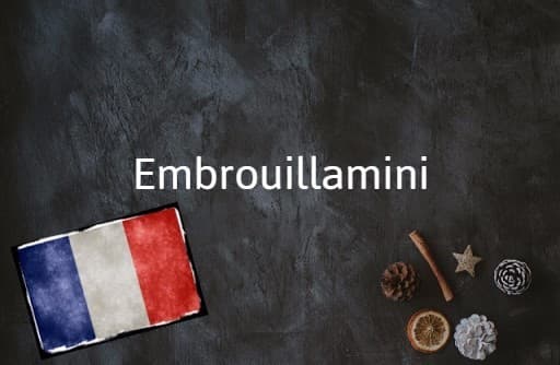 French Word of the Day: Embrouillamini