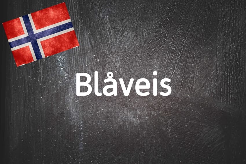 Norwegian word of the day: Blåveis 