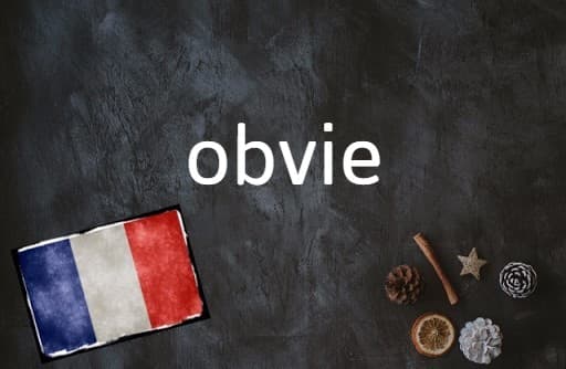 French word of the Day: Obvie