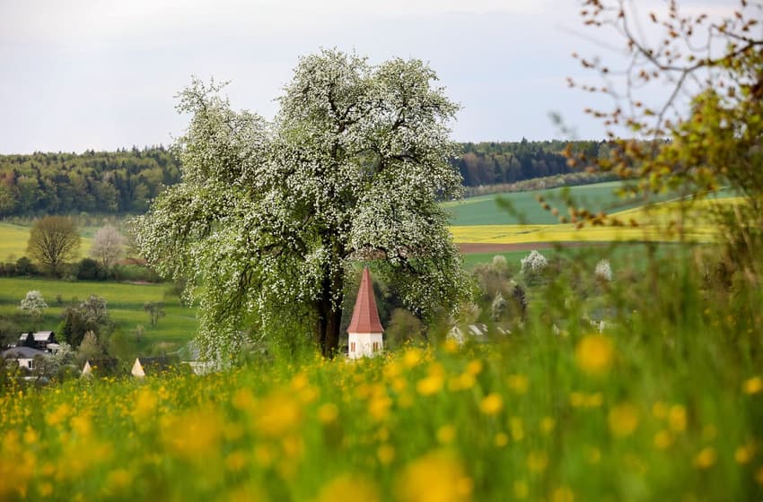 Living in Germany: Countryside life, Maultaschen and the British royal family's German roots