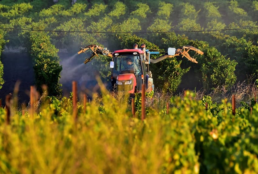 French NGOs sue state over pesticide use