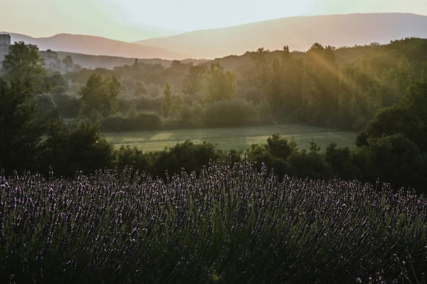 La Belle Vie: The French philosophy tradition and all around the lavender fields