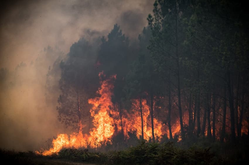 French government launches forest fire warning app