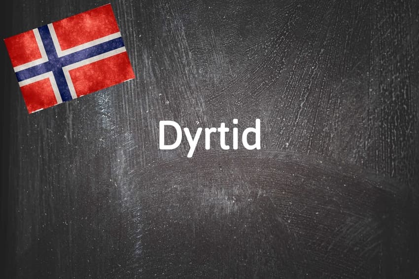 Norwegian word of the day: Dyrtid 