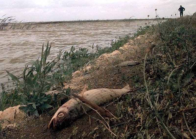 Trial over Spanish ecological disaster starts 25 years later