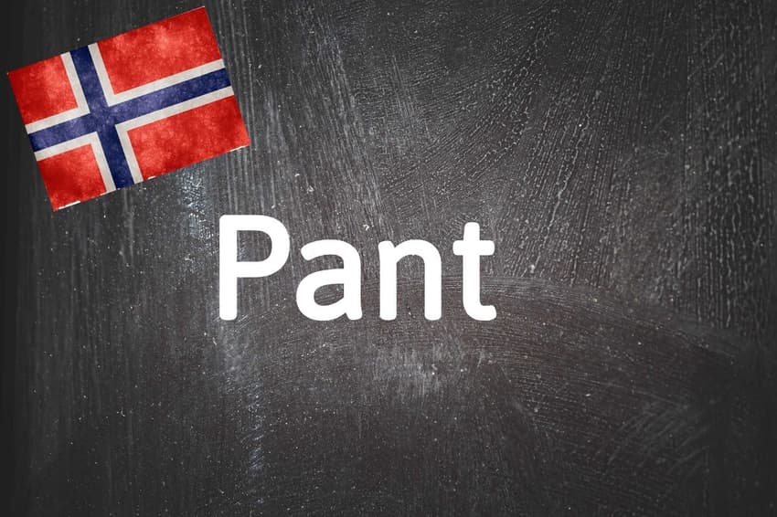 Norwegian word of the day: Pant