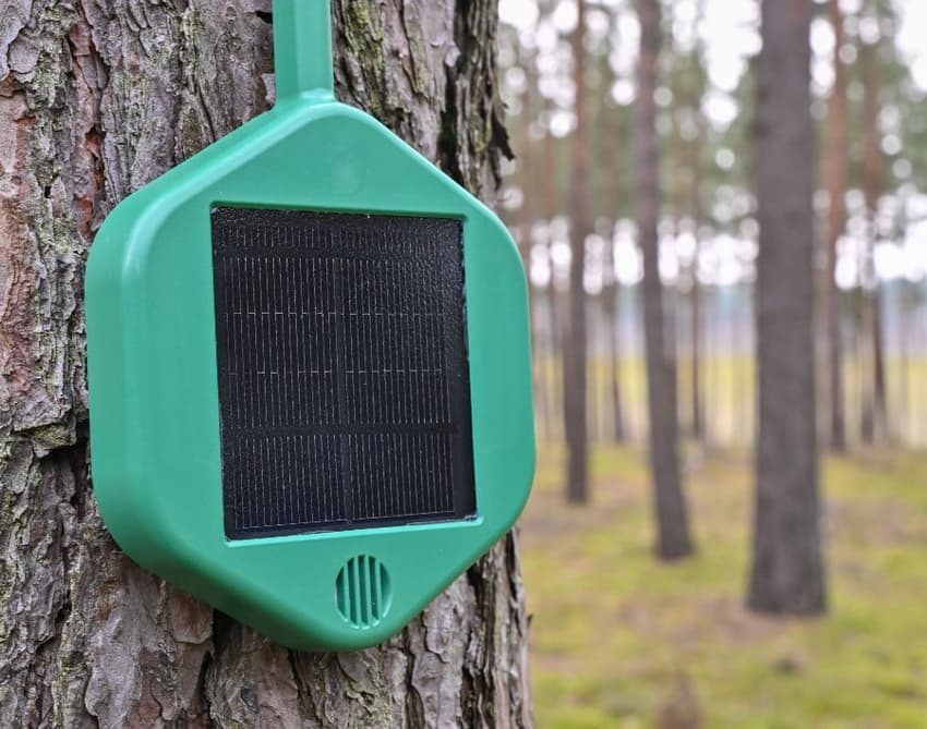 How electronic 'noses' help detect forest fires in Germany